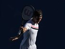 výcar Roger Federer postupuje do tvrtfinále Australian Open, kde narazí na...