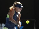 Nmka Angelique Kerberová v semifinále Australian Open.