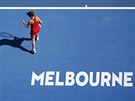 Svtová jednika ovládla první set semifinále Australian Open proti Nmce...
