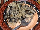 V Namibii se housenky mopane pipravují s cibulí. Dobrou chu.