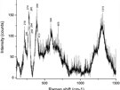 Data získaná Ramanovou spektroskopií