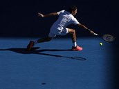 Obhjce titulu Roger Federer v osmifinle Australian Open.