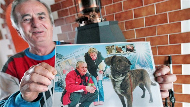Kříženec labradora Bojar byl týraný, dnes je šťastný u nových páníčků v Šindelové. Josef Fojtík ukazuje památeční fotku ze dne, kdy se Bojara ujali.