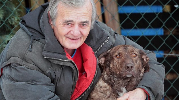 Kříženec labradora Bojar byl týraný, dnes je šťastný u nových páníčků v Šindelové.