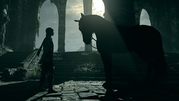 Shadow of the Colossus (2018) - Photo Mode