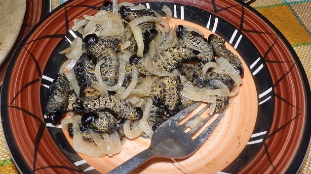 V Namibii se housenky mopane připravují s cibulí. Dobrou chuť.