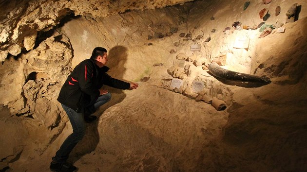 V jeskyni Na Turoldu v Mikulově zimuje několik druhů netopýrů, mezi nimi především kriticky ohrožení vrápenci malí.