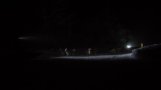 Do tmy. Musherům v horách svítí na cestu jen čelovka. Nahoře v mlze přes sněžení občas nevidí ani na první psy.