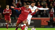 Leroy Fer (vpravo) ze Swansea se snaí zastavit Georginia Wijnalduma z...