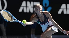 Karolína Plíková ve tvrtfinálovém utkání Australian Open.
