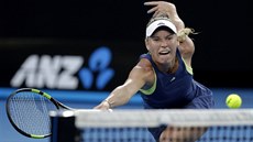 Dánská tenistka Caroline Wozniacká se mermomocí snaí dobhnout krátký míek.