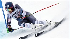 Americký sjezda Ted Ligety bhem obího slalomu v Garmisch-Partenkirchenu.