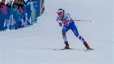 Česká běžkyně na lyžích Petra Nováková během závodu na 10 km hromadným startem...