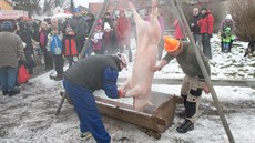 Masopust a zabíja�ka v Máslovicích.