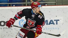 Obránce Zdenk áp za Mountfield naposledy hrál na zaátku listopadu, nyní se...