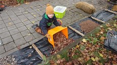 Mate�ská �kola Blahoslavova dostala peníze na úpravu zahrady, kde vznikl t�eba...