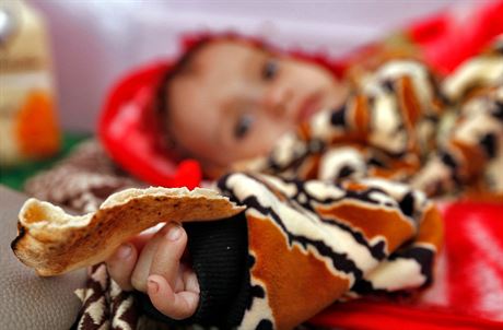 Nedostatek potravin trápí v posledních msících zejména Jemen.