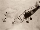 Falené fotografie leteckých souboj od W. D. Archera se dlouhá desetiletí...