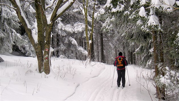 H�ebenovka mezi Sol�n�m a Vsack�m C�bem