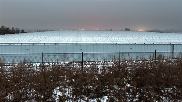 Pohled na velkokapacitní skleník skleník ve Smržicích na Prostějovsku po zastínění. Do okolí nyní září jen světelné znečištění z obcí.