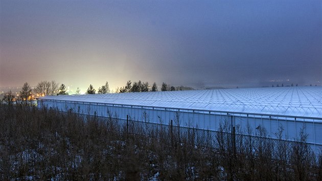 Pohled na velkokapacitní skleník skleník ve Smržicích na Prostějovsku po zastínění. Do okolí nyní září jen světelné znečištění z obcí (na snímku v pozadí Smržice).