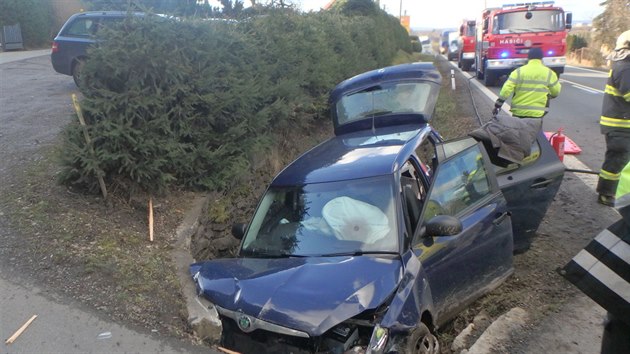 Hasi�i vypro��uj� �idi�e po n�razu do mostku u Vamberka (30.1.2018).