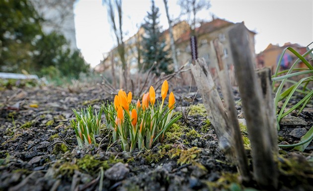 Nadprůměrné teploty se v Česku udrží celý týden, platí výstraha před povodněmi