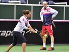 eská tenistka Barbora Strýcová bhem tréninku ped 1. kolem Fed Cupu. V pozadí...