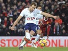 Harry Kane z Tottenhamu promuje pokutový kop.