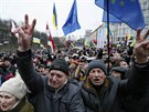 Píznivci gruzínského exprezidenta Michaila Saakaviliho v Kyjev. (4. února...