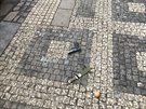 V Praze 7 vytáhl mu vzduchovou pistoli a vstelil do vzduchu. (7.2.2017)