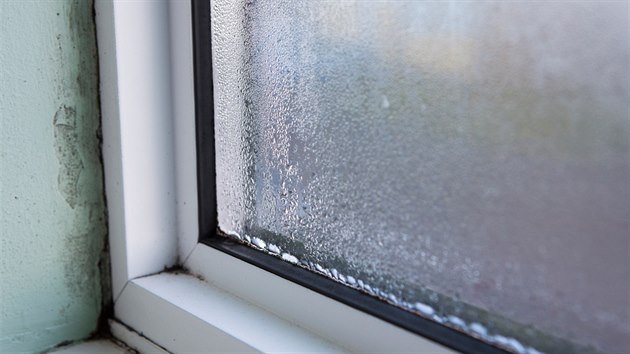 Nejčastější příčinou rosení oken z vnitřní strany a vzniku plísní je nedostatečné větrání a vysoká vlhkost v místnosti.