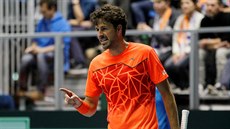 Nizozemský tenista Robin Haase v utkání Davisova poháru.