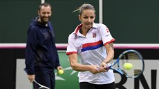 Tenistka Karolína Plíková na prvním tréninku ped 1. kolem Fed Cupu v praské...