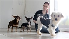 O pět z více než dvoustovky psů, které v příšerných podmínkách v rodinném domě...