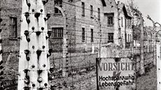 Nacistický koncentraní tábor Auschwitz u polské Osvtimi na snímku z února 1961