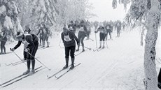 Jizerská padesátka v lednu 1984