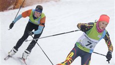 tafetami dívek a chlapc skonila Olympiáda dtí a mládee. Foto: Radek Kalhous, MF DNES