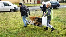 Devt ps ilo v dom na Tachovsku v otesných podmínkách. Nyní jsou ve psím...