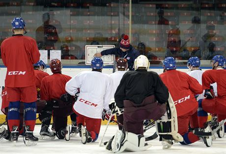 Trénink eské hokejové reprezentace v Praze bhem pípravy na olympijské hry v...