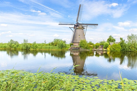 Vtrný mlýn u obce Kinderdijk. Vtinu z 1 200 vtrných a vodních mlýn v...