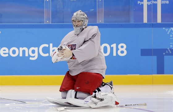 Gólman Pavel Francouz pi tréninku eských hokejist v jihokorejském...