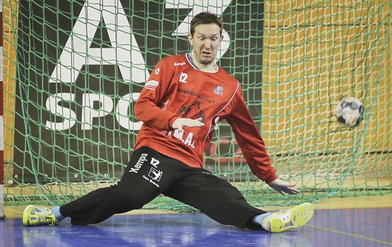 Plzeský branká Jan tochl v prbhu extraligového zápasu.