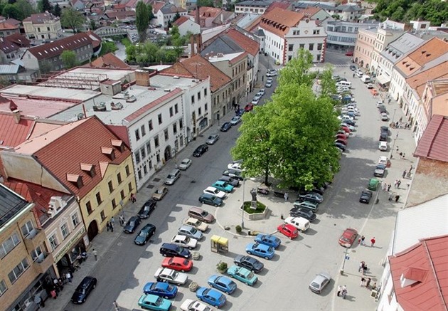 Bhem velké slavnosti na 1. máje v roce 1919 zasadili ve Velkém Meziíí lípu...