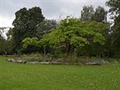 Bute Park, jeden z mnoha cardiffských park.