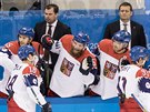 Gratulace. Hokejisté oslavují vyrovnání Dominika Kubalíka v utkání s Kanadou