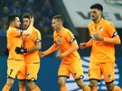 Fotbalisté Hoffenheimu s Pavlem Kadeábkem (druhý zprava) oslavují vstelený...