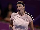 Petra Kvitová v semifinále turnaje v Dauhá