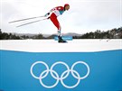 Kanadský bec Alex Harvey (uprosted) ve skiatlonovém závod na 15+15...