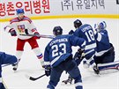 Pípravné hokejové utkání R - Finsko v hale Anyang v jihokorejském Soulu. (11....